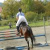 Babie Lato 2016